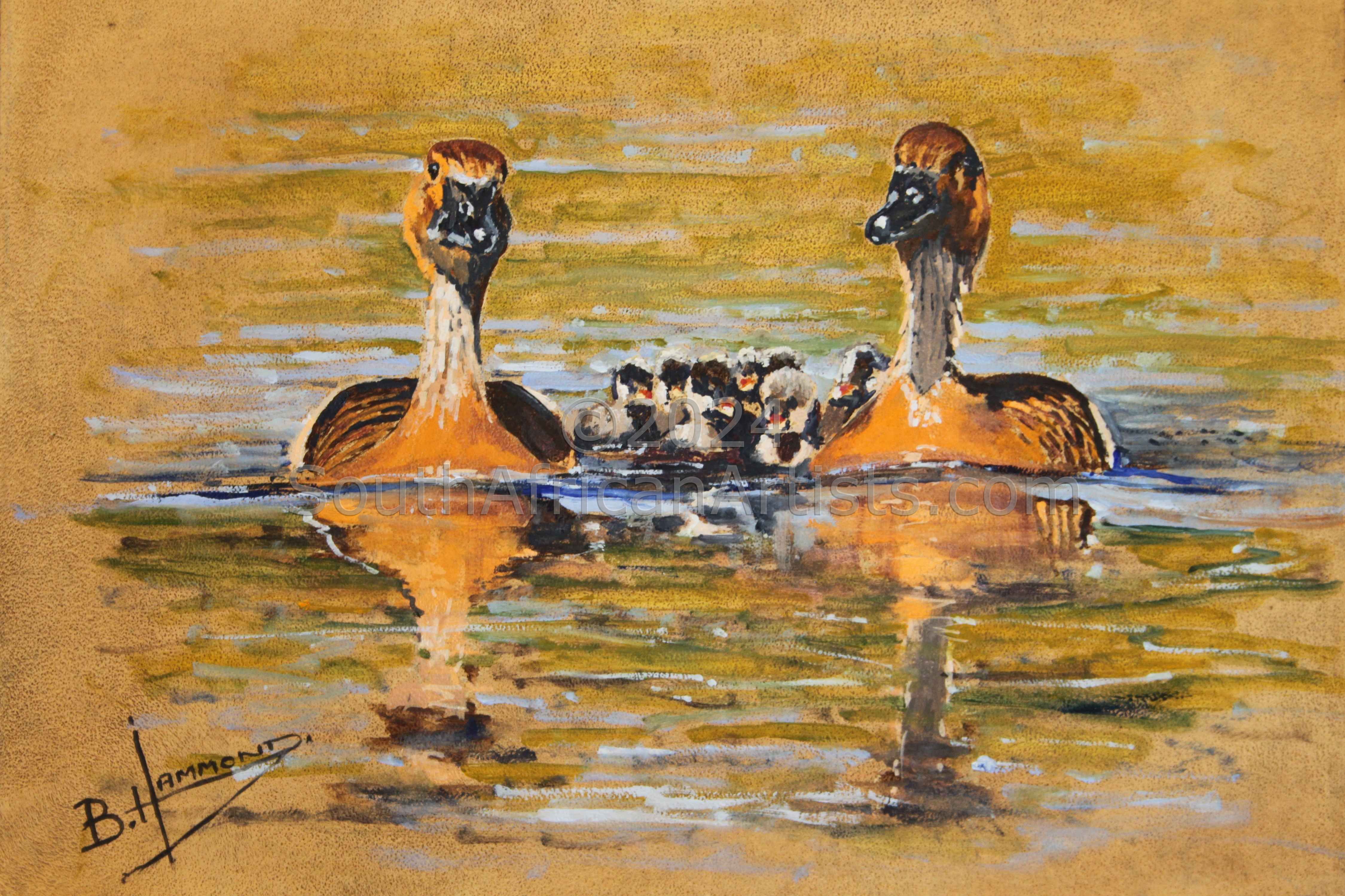 Fulvous Duck Family