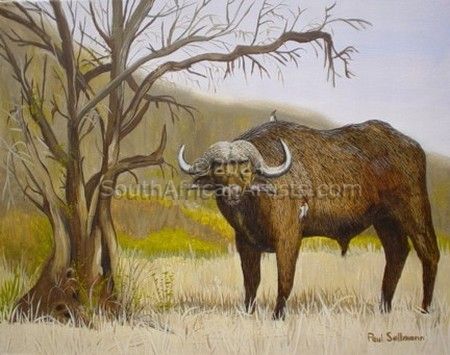 Buffalo by termite-eaten tree