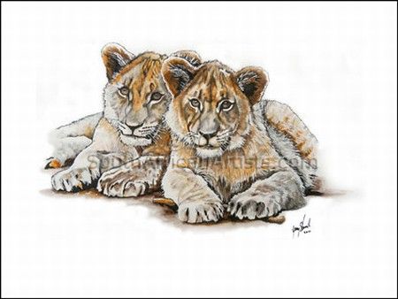 Lion Cubs 1