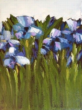 blue Irises