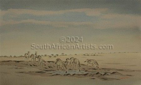 Zebras in Etosha 