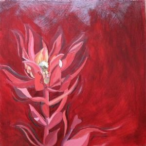 "Fynbos 74, Leucadendron Salignum"