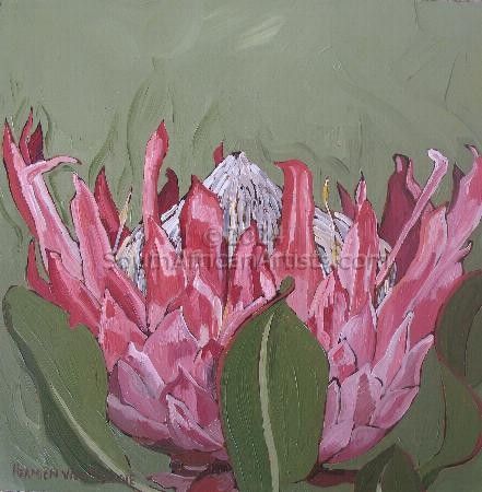 Fynbos 77, Giant Protea