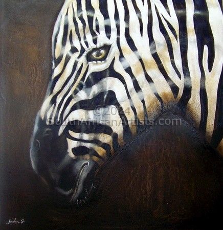 Sand Zebra