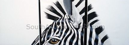 3 part zebra mount