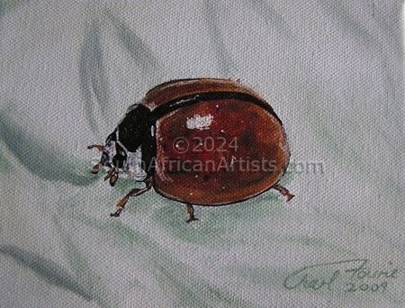Bugs - Ladybird