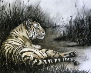 "Resting Tiger"