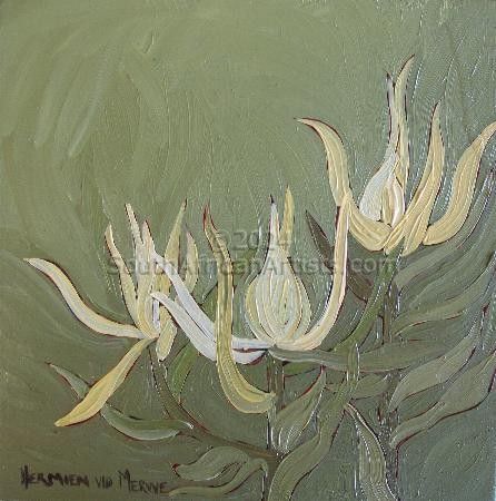 Fynbos 88, Leucadendron