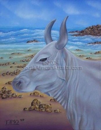 Beached Cow