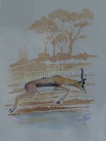 Springbok over Waterhole