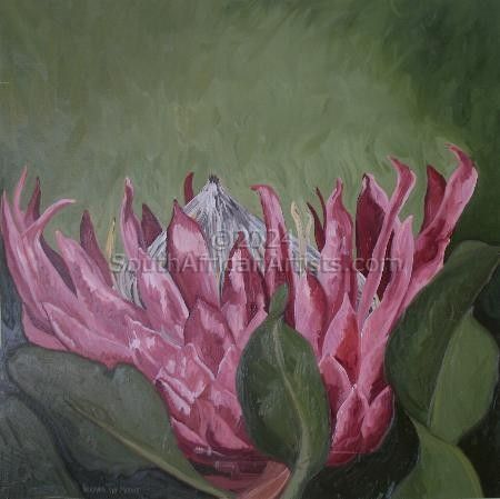 Fynbos 96, Giant Protea