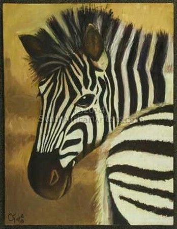 Peeking Zebra