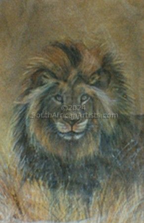 African Male Lion