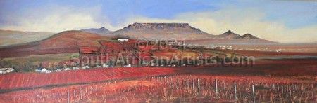Table Mountain and the Grapevines