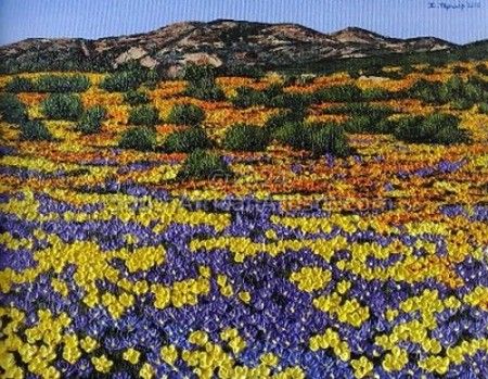 Namaqualand In bloom
