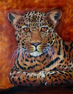 "Leopard on Orange"