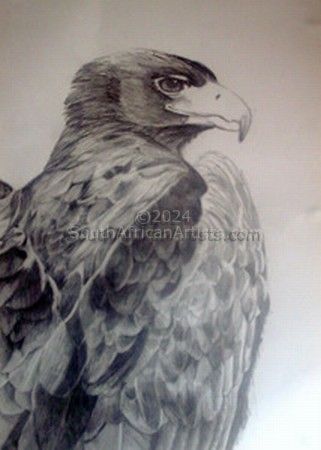 Portrait of Black Eagle