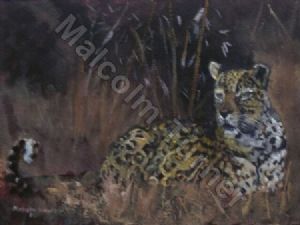 "Night Watch Leopard"