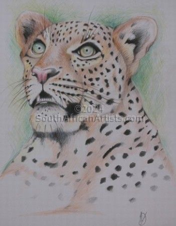 The Piercing Leopard