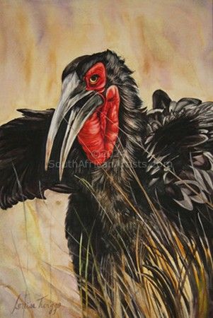 Southern Ground Hornbill Displaying