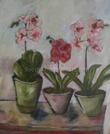 Potted Orchids on Table