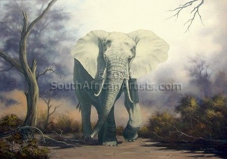 Savuti Elephant
