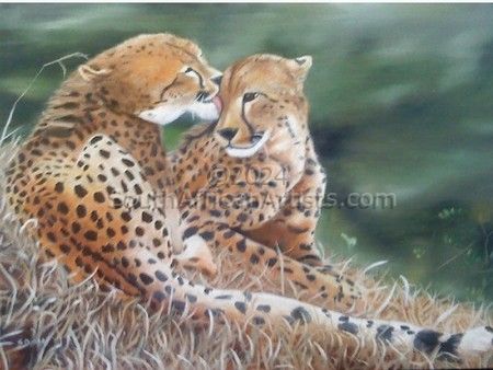 Grooming Cheetah