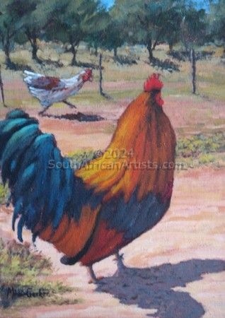 Cock on Farmyard