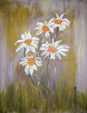 South African Daisies