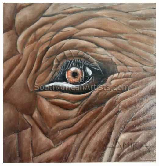 Eye Elephant