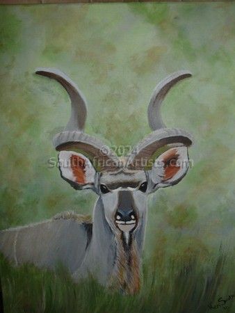 Majestic Kudu