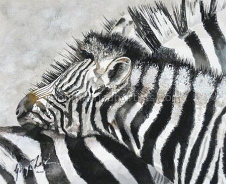 Zebra Foul