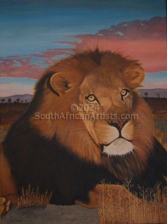 African Lion at Sunset