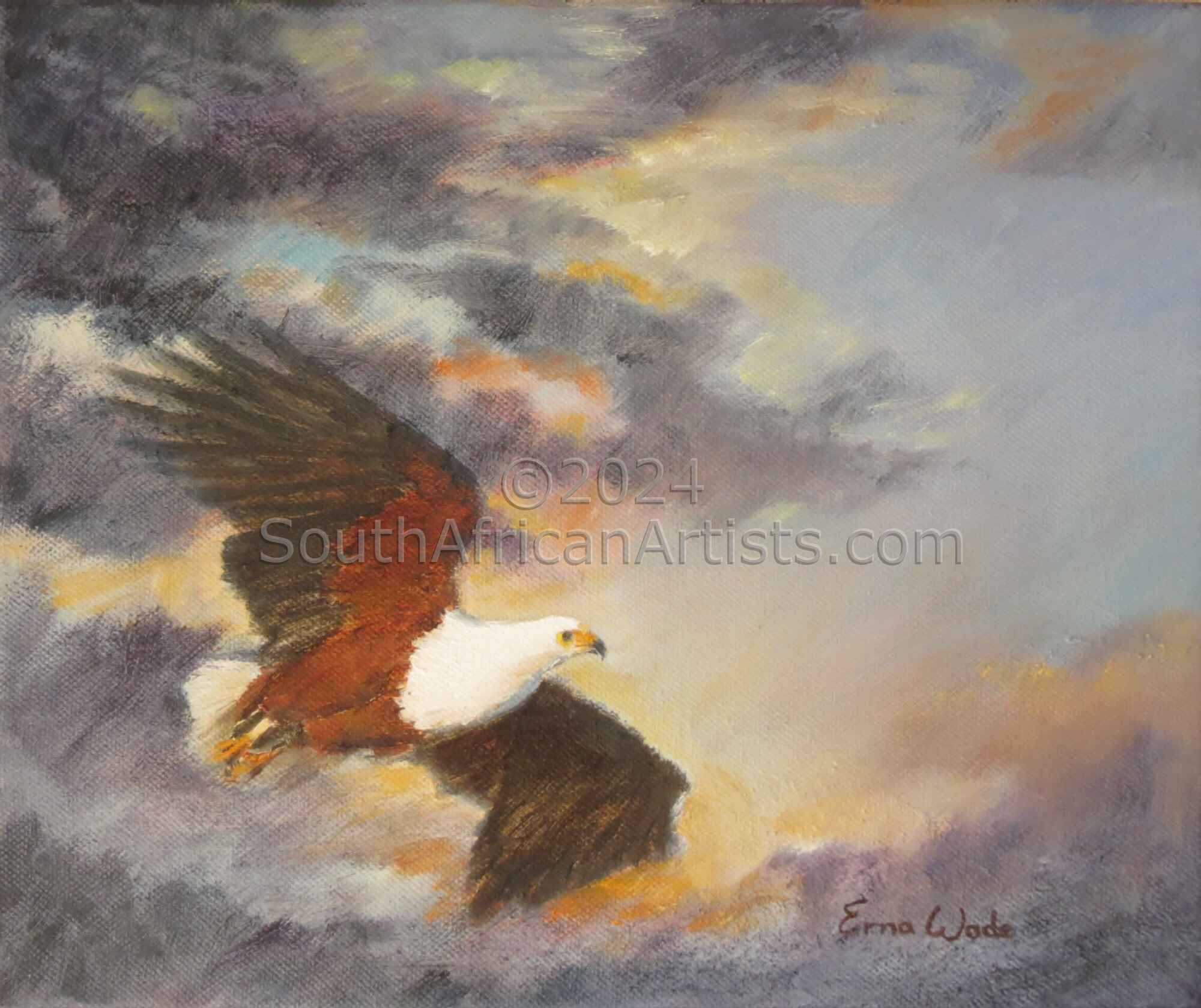 Flight of the Fish Eagle I