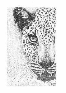 "Leopard (2 of Big 5)"