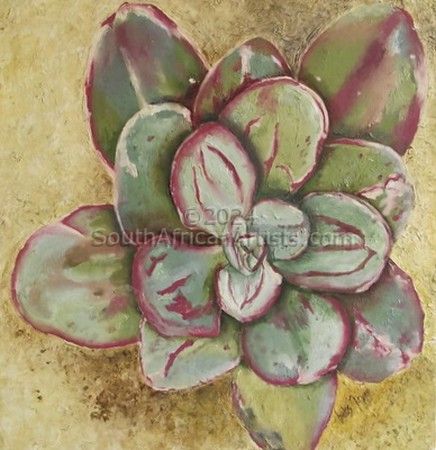 Succulent With Maroon & Green
