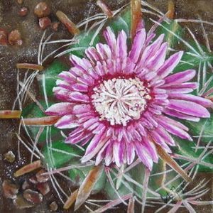 "Cactus in bloom"