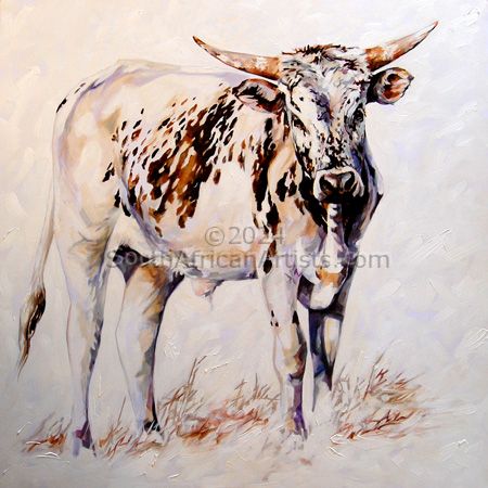 Sprinkle the young Nguni Bull