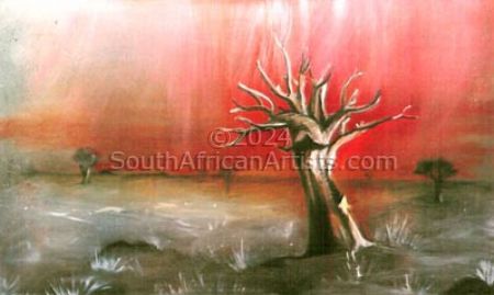 Quiver Tree - Namibian Series