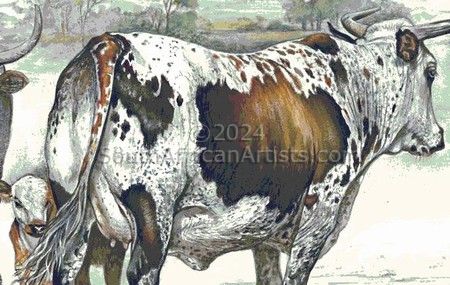 Tri-Color Nguni Cow and Calf