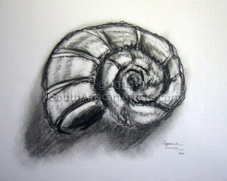 Sea-Shell-Round-Charcoal