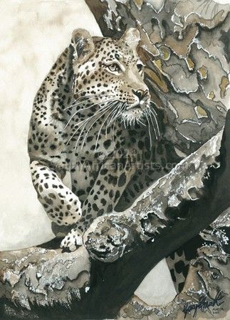 LeopardOne