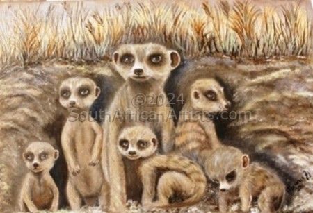 Babysitting - Meerkat Family