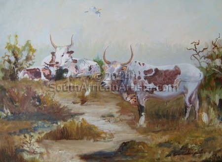 Nguni Cattle with Egrets