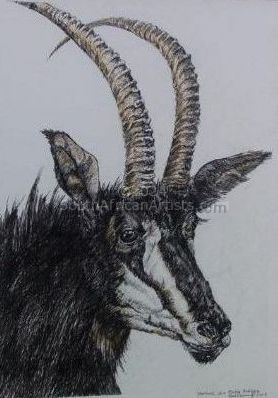Portrait of a Sable Antelope