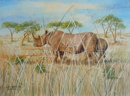 Rhinos in the Grass