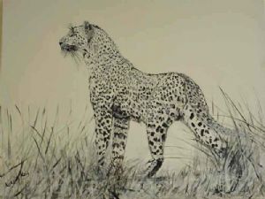 "Leopard Hunting"