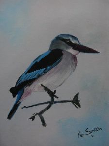 "Woodlands Kingfisher"