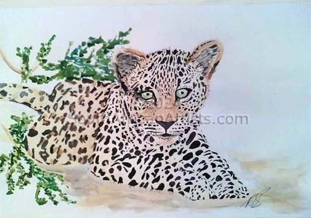 Leopard Cub I