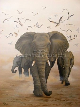 Elephants in the Dust